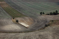 Pole ve Středohoří